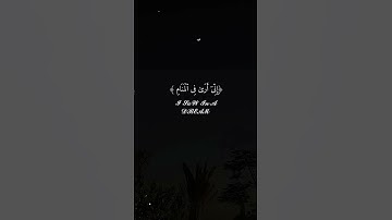 ﴿وَقَالَ إِنِّی ذَاهِبٌ إِلَىٰ رَبِّی سَیَهۡدِینِ﴾ | القارئ محمد صديق المنشاوي #قرآن #اكسبلور.