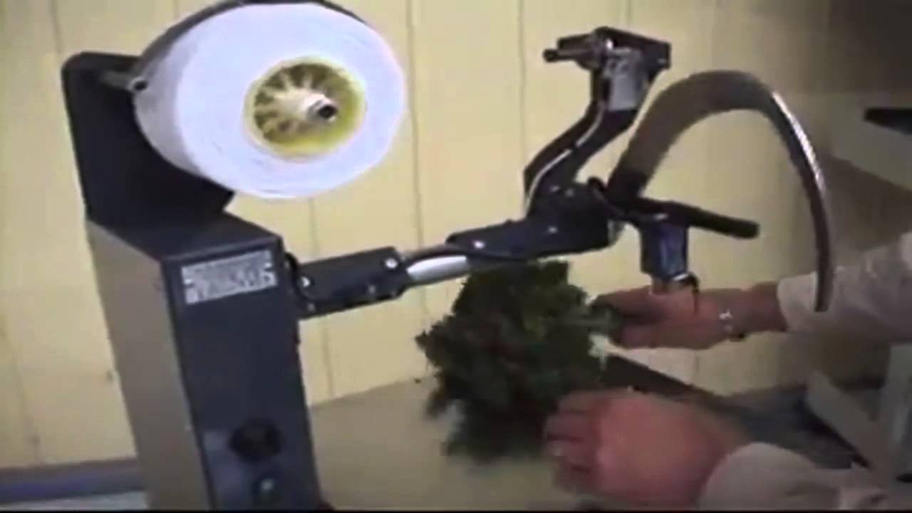 Tacchino Ripieno Con Confettura Di Fichi E Verdure - ® - La - Foto 7