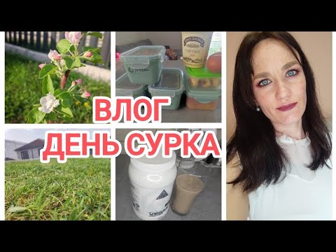 ДЕНЬ СУРКА/ ВЛОГ/ МОИ БУДНИ И ВЫХОДНЫЕ/ УБОРКИ, ОГОРОД, РАБОТА/ ЖИЗНЬ ПРОДОЛЖАЕТСЯ/1000 ПОДПИСЧИКОВ