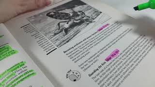 Highlighting Text from a Bee Book - Relaxing Marker & Paper Sounds (No Talking)