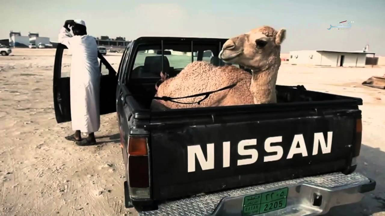 الهجن - الحلقة 11 - الأربعاء 27/4/2016