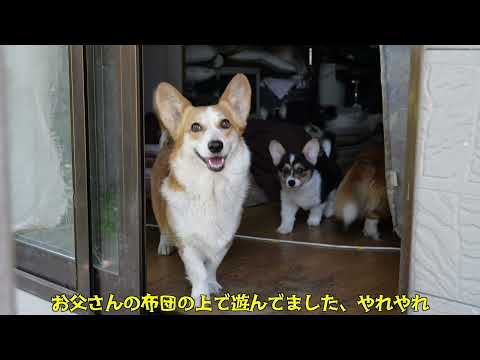 NANA05365 - YouTube