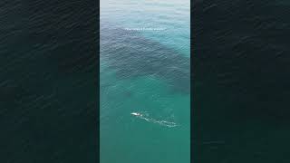 Let’s Talk Waves