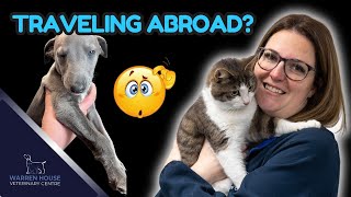 Traveling with Pets? Don't Forget THESE Essentials!