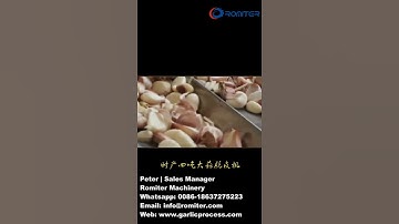 Automatic Chain Type 4ton Garlic Peeling Machine