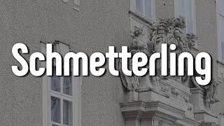 Baby B3ns - Schmetterling (Letra/Lyrics) | Official Music Video