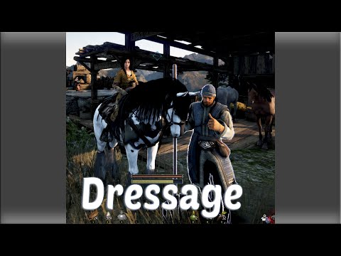 [BDO] - Tuto, Dressage, capture/reproduction et astuces !