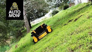 AUTOMOW | Mowing on Extreme Slopes