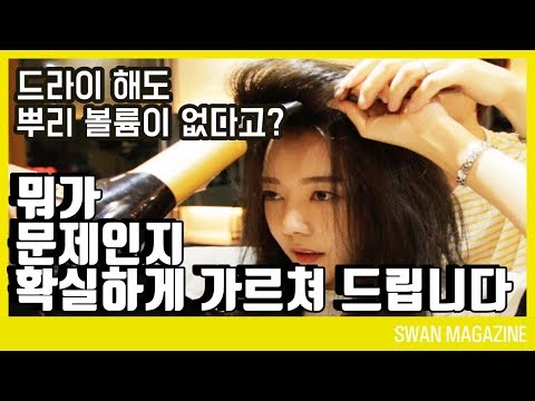 드라이하는데 왜 뿌리볼륨이 안살까요? 그 이유를 "콕"찝어 설명드립니다!