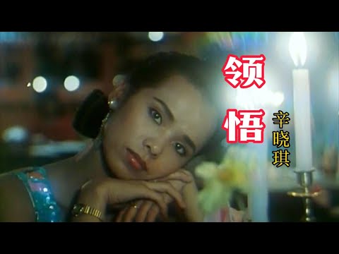 辛晓琪-《领悟》，回顾经典！无不让人感动落泪！！【岭枫音乐】
