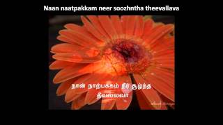 Video thumbnail of "Lolita - Engeyum kadhal - Lyrics"