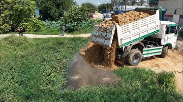Looking At Started New Project!Dump Truck Fillland Delete canal,Expert Skillfull Bulldozer Push Soil