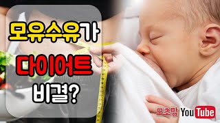 [9번] 모유수유가 다이어트 비결