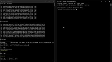 PD-4.1.2 Use ganache cli Windows WS