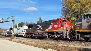CN 2000 (C40-8) Trails On M336!