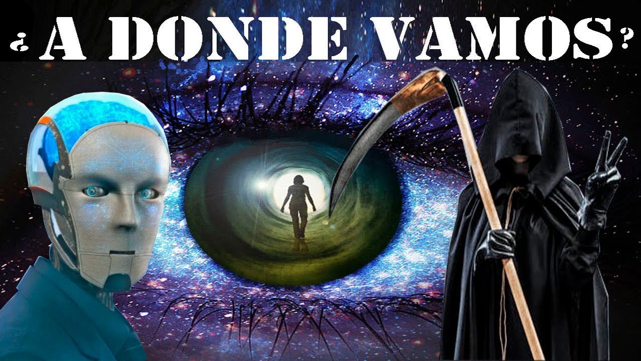 La vida antes y despues de la vida / LA REENCARNACION  DE TU ALMA