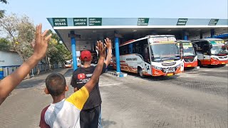 Bus bumel harapan baru TOMBO ATI merapat di terminal gayatri tulungagung