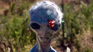 Shotgun vs. Grey Alien