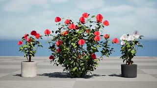 Australian Waratah Flowering Plant 3d animation with unreal engine