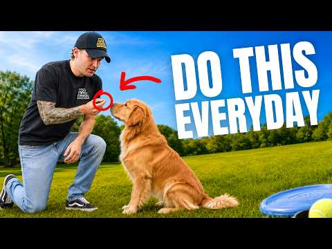 7 Things your Dog Needs Everyday But You Rarely Do