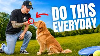 7 Things your Dog Needs Everyday But You Rarely Do