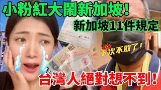 陸妻新加坡11項規定  台灣人絕對想不到Foreigners must know Singapore’s 11 regulations! No nudity  【CC繁中】SN:2024045