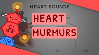 Cardiology for Beginners: Basics of Heart Sounds and Murmurs (with examples) by ATP 6,559 views 2 years ago 9 minutes, 7 seconds
