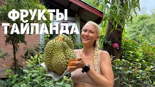 картинка: ОСТРОВНЫЕ ПРИКЛЮЧЕНИЯ: Пробуем ДУРИАН и Погружаемся в ЖИЗНЬ на Пхукете! Фрукты Тайланда.
