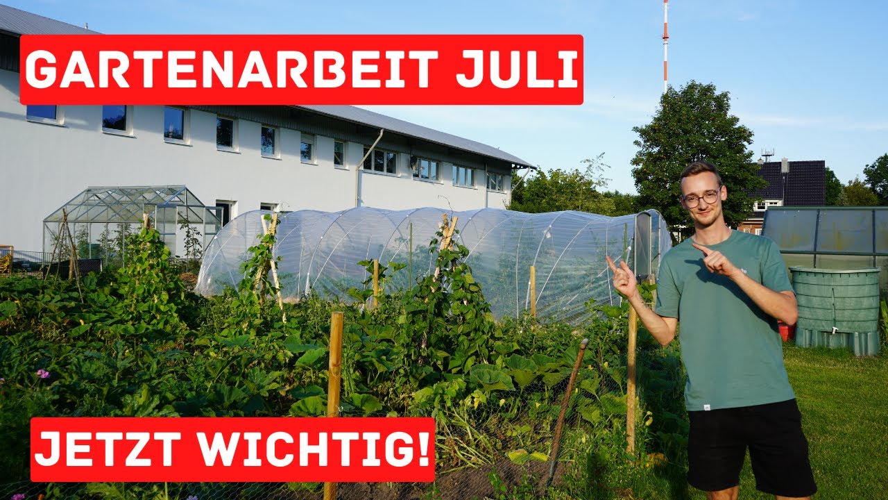 Gartenarbeit im Juli das ist jetzt wichtig! YouTube