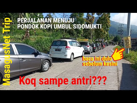 Video: Cara Membuka Jalan Menuju Pondok