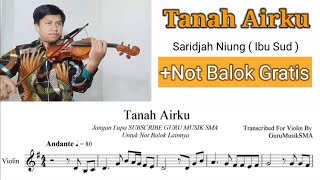 [Free Sheet] Tanah Airku || Violin Cover With Sheet Music