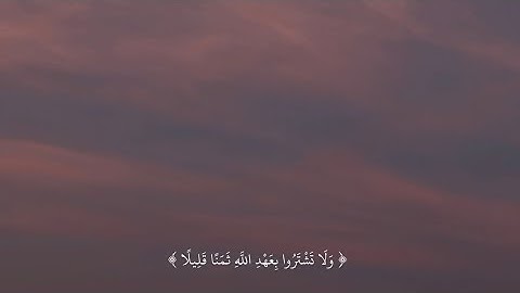 وَلَا تَشْتَرُوا بِعَهْدِ اللَّهِ ثَمَنًا قَلِيلًا | سورة النحل | عبدالرحمن مسعد