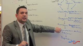 Program Geliştirme - Taba-Tyler Modeli Arasındaki Farklar Nedir ?