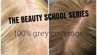 BEAUTY SCHOOL SERIES | 100% GREY COVERAGE ON RESISTANT HAIR