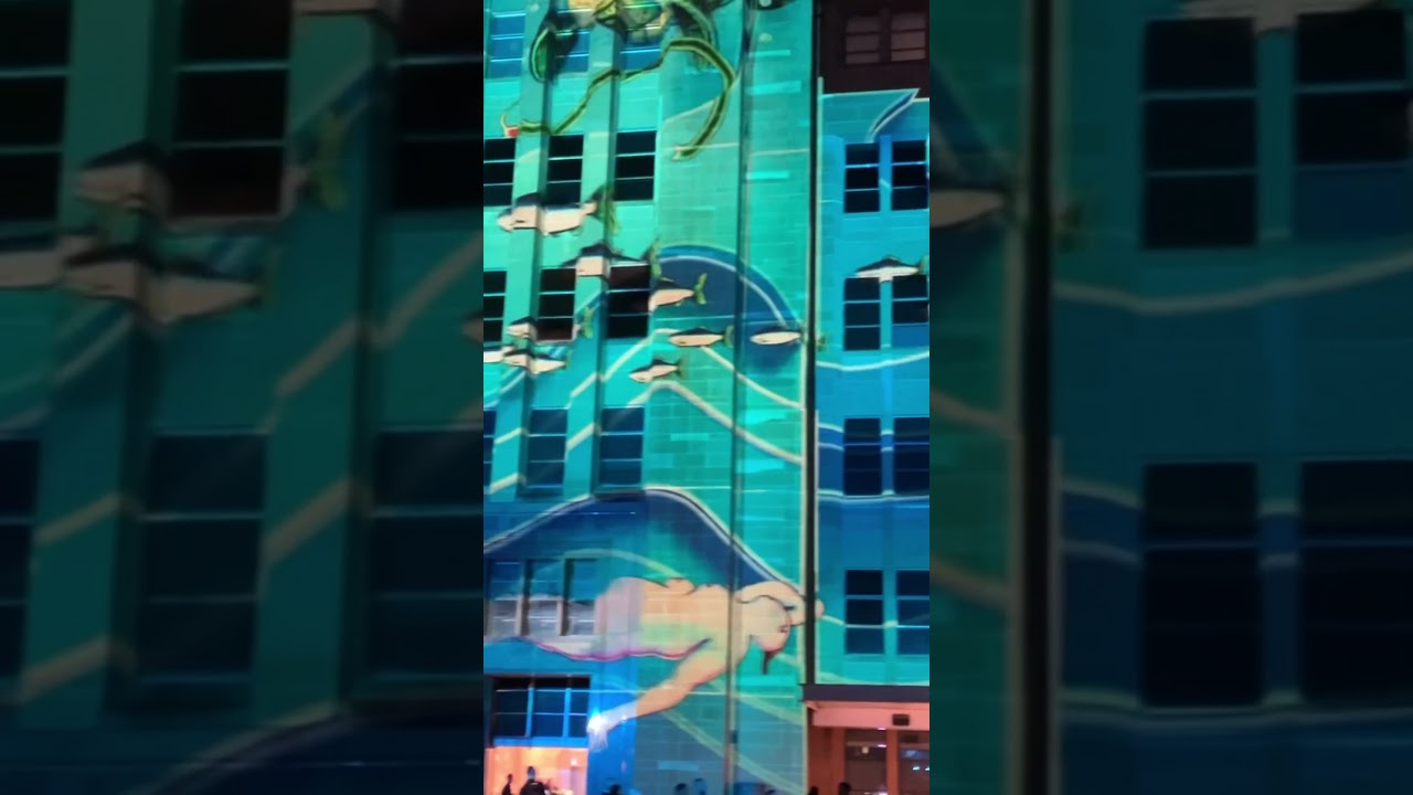 MCA, Vivid Sydney 2024