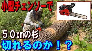 電動チェンソー、75ｘ25ｘ25、ＤＩＹ，伐採、倒木、動作確認済み mqdefault.jpg