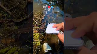 farming short🌾🇮🇳 #song​ #farming​ #khetibadi​ #dailyshorts​ #virulshorts