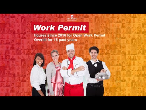Work Permit figures since 2016 for Open Work Permit Overall for 15 past years