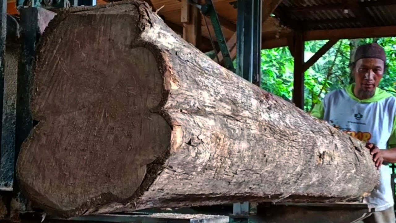 Sawing old teak logs full of beautiful grain at the sawmill - YouTube