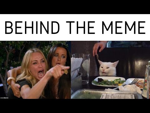 behind-the-meme:-woman-yelling-at-cat-[meme-explained]