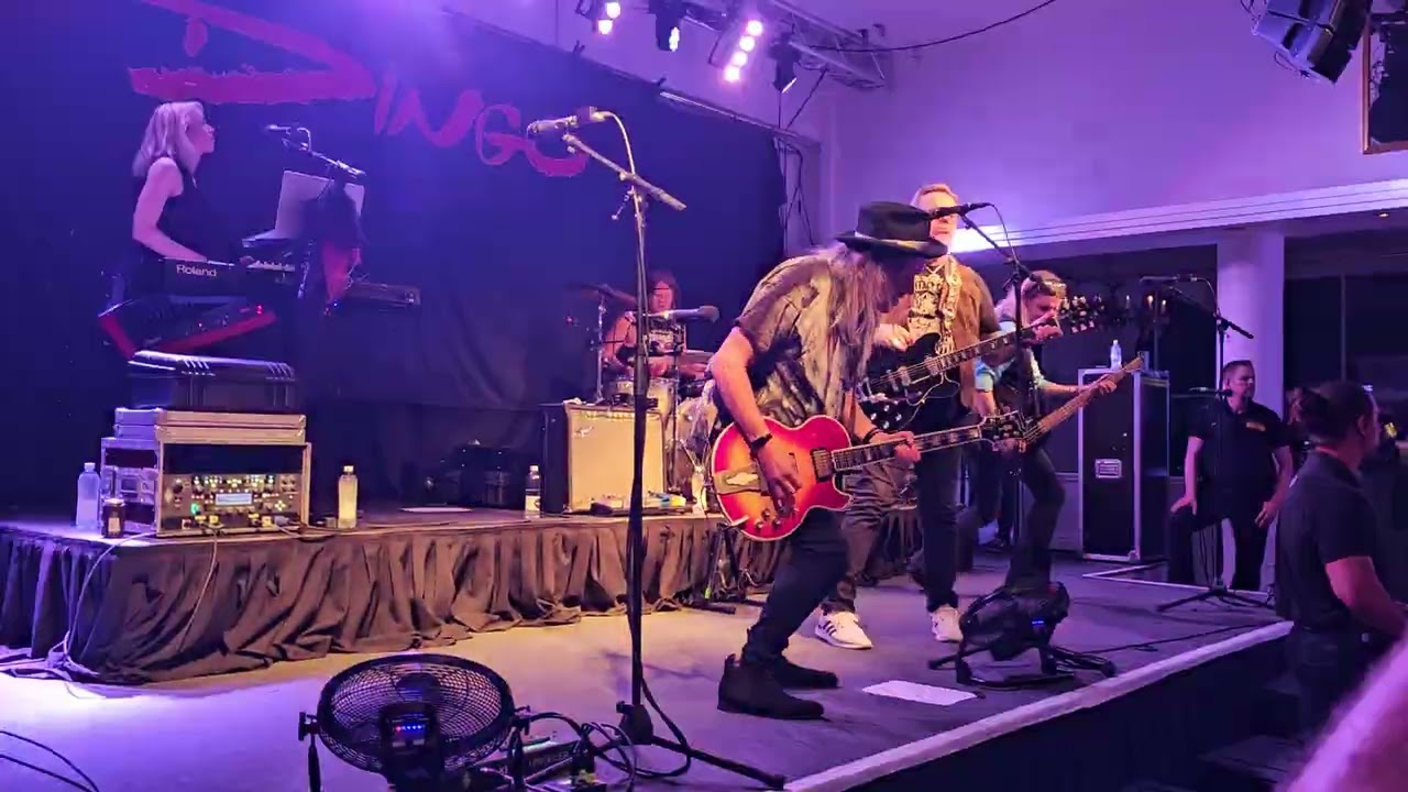 Dingo Naantalin kaivohuoneella 2.8.2024