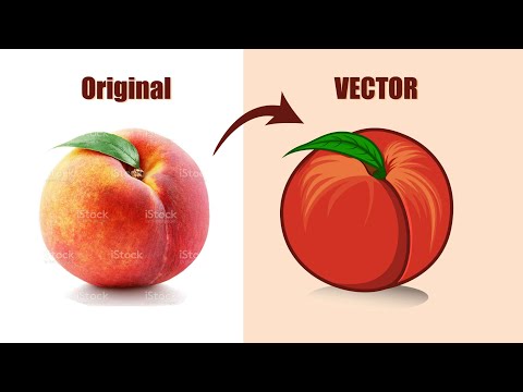 Adobe Illustrator Tutorial- Convert Real Peach to vector || Vector Illustration