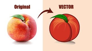 Adobe Illustrator Tutorial- Convert Real Peach to vector || Vector Illustration