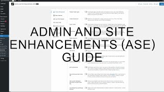 How To Enable/Disable Show Custom Taxonomy Filters ASE Pro