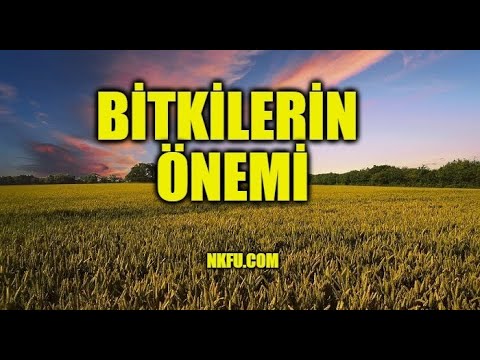 Video: Bitkilerin Doğadaki önemi Nedir