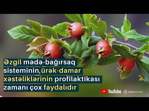 Video: Dəri Məhsullarınızda Civədən necə qorunmalısınız: 8 addım