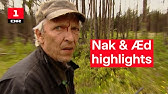 Natholdet - ''Fatalt Flaksende Falk Finder Fred i Frankrig'' - Klip fra Nak & Æd DR2 YouTube