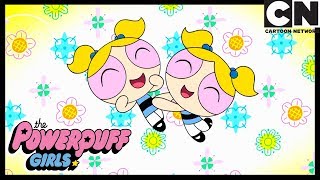 Bubbles'ın Sorunu | Powerpuff Girls Türkçe | çizgi film | Cartoon Network Resimi