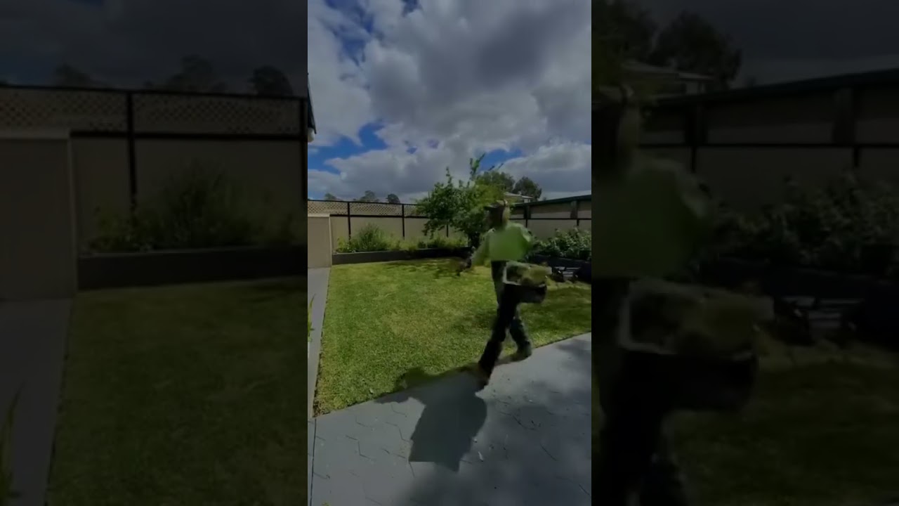 Precision cuts for a healthier, happier lawn