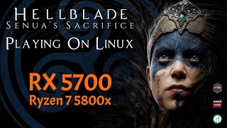 Hellblade Senuas Sacrifice | 1440p | Manjaro 20.2.1 | RX 5700 + R7 5800X | Linux Gaming